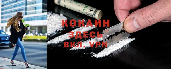 крисы Баксан