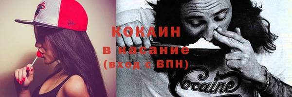 прущие крисы Балахна
