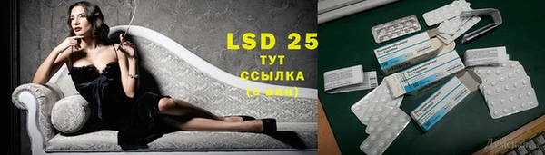 крисы Баксан