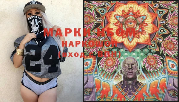 крисы Баксан