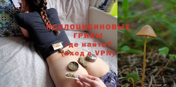 крисы Баксан