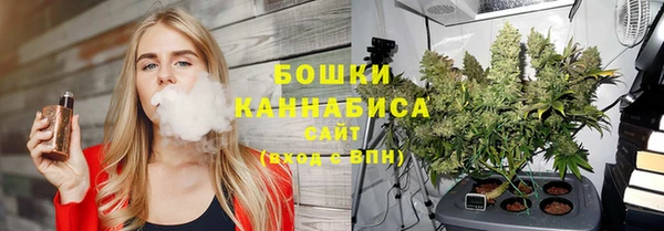 крисы Баксан