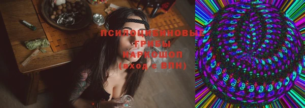 Альфа ПВП Белокуриха