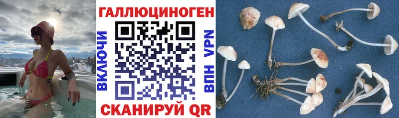 Галлюциногенные грибы прущие грибы  Кувандык 